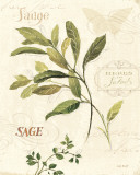 Aromatique IV Poster par Lisa Audit