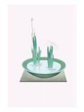 Futoi & Hanashobu (Scirpus & Iris) In a Tenryuji-Celadon Basin Prints by Josiah Conder
