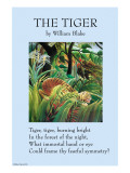 Le tigre Affiches par William Blake