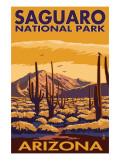 Saguaro National Park, Arizona Poster Saguaro National Park, Arizona Poster