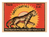 Tiger Safety Matches Fotografía Tiger Safety Matches Fotografía