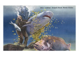 Marineland, Florida - Diver Moving Drugged Shark at Marine Studios Posters