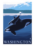 Orca and Calf - Washington Prints