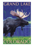 Grand Lake, Colorado - Moose at Night Fotografía Grand Lake, Colorado - Moose at Night Fotografía