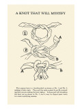 Knot That Will Mystify Póster