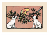 Snip And Snap And the Poll Parrot Posters by Julia Dyar Hardy