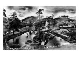 Ketchikan, Alaska - General View of City Park Art