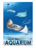 Rays - Visit the Aquarium Affiches