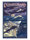 Catalina Island, California - Flying Fish Prints