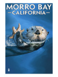 Morro Bay, CA - Sea Otter - Poster Morro Bay, CA - Sea Otter - Poster