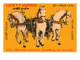 Lucky Horses Pósters