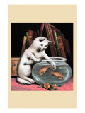 Foolish Kitten Prints