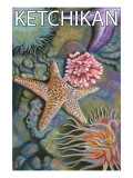 Ketchikan, Alaska - Tidepools Art
