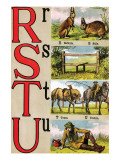 R, S, T, U Illustrated Letters Posters by Edmund Evans