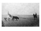 Horseback Cowboys Leading a Bull Láminas Horseback Cowboys Leading a Bull Láminas