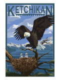 Bald Eagle & Chicks - Ketchikan, Alaska Lámina