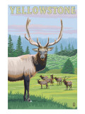 Yellowstone Nat'l Park - Elk Herd Art