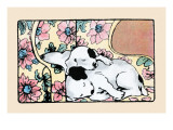 Napping Fox Terrier Dogs Prints by Julia Dyar Hardy