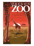 Giraffe Sunset - Oregon Zoo Posters