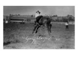 Calgary, Canada - Bucking Horse at the Stampede Prints