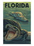 Florida - Alligators Zdjęcie
