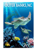 Outer Banks, North Carolina - Sea Turtles Pósters Outer Banks, North Carolina - Sea Turtles Pósters