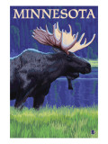 Moose at Night - Minnesota Posters