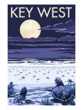 Key West, Florida - Sea Turtles Hatching Posters