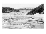 Alaska - View of Taku Glacier Kunstdruck
