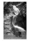 Colorado Springs, Colorado - South Cheyenne Canyon; Burro at Seven Falls Affiches
