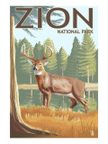 Zion National Park, UT - Deer Posters