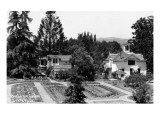 Santa Rosa, California - View of a Burbank Garden Pósters Santa Rosa, California - View of a Burbank Garden Pósters