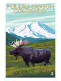 Poudre Canyon, Colorado - Moose Print