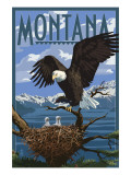 Montana - Eagle Perched with Chicks Prints