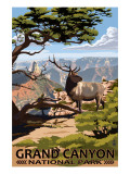 Grand Canyon National Park - Elk & Point Imperial Posters