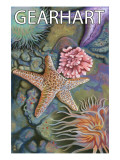 Gearhart, Oregon - Tidepool Posters