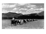 Idaho - Fish Planting by Pack Train near Sandpoint Prints