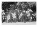 Circus Elephants Visit the White House Pósters Circus Elephants Visit the White House Pósters