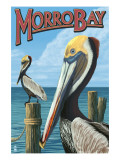 Morro Bay, CA - Pelicans Prints