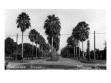 Mission, Texas - Residence Street Prints