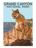 Grand Canyon National Park - Mountain Lion Posters