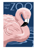 Flamingo - Visit the Zoo Plakaty