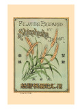 Filature Prepared By Shinoshosha, Japan Poster
