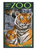 Visit the Zoo - Tiger Family Posters