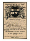 Witch Hazel Affiche