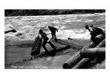 Idaho - Priest River Log Run Scene Poster