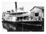 Pilot Boy Steamer Prints