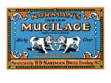Norman's Indian Mucilage Affiches