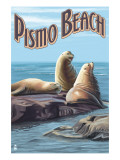 Pismo Beach, California - Sea Lions - Resim