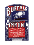 Buffalo Ammonia Prints